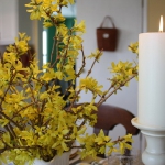 blooming-branches-spring-table-setting2-15.jpg