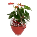blooming-plants-new-year-decoration1-1