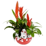 blooming-plants-new-year-decoration1-2