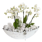 blooming-plants-new-year-decoration4-5