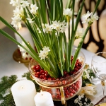 christmas-cranberry-and-red-berries-decorating-combo2-3.jpg