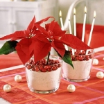 christmas-cranberry-and-red-berries-decorating-combo2-4.jpg