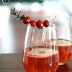 christmas-cranberry-and-red-berries-decorating-misc2-4.jpg