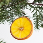 citrus-slices-new-year-deco1-1-5