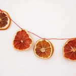 citrus-slices-new-year-deco2-11