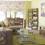 combo-green-and-brown-livingroom1.jpg