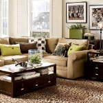 combo-green-and-brown-livingroom12.jpg
