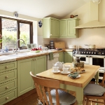 combo-green-and-brown-kitchen1.jpg