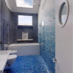 combo-blue-n-white-in-bathroom2.jpg