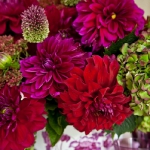 dahlias-bouquets-in-different-shades3-5.jpg