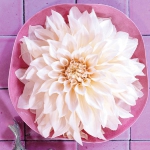 delightful-dahlias-in-floristic-ideas-mini2-1.jpg