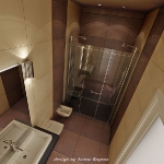 digest109-dark-brown-in-bathroom12-1.jpg