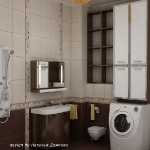 digest109-dark-brown-in-bathroom13-3.jpg