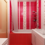 digest98-combo-red-and-white-tile-kerama-in-bathroom2-1.jpg