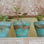 diy-5-flower-pots-decor-from-rope1-4
