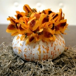 pumpkins-vase-new-floral-ideas-by-kristi2-2.jpg