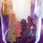 fall-leaves-and-candles7.jpg