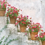 flowers-container-ideas-by-marta11.jpg
