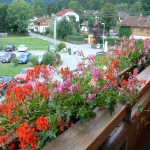 flowers-on-balcony-railing4-2.jpg