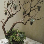 branches-party-decorating-eco9.jpg