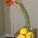 fruit-flowers-centerpiece-citrus7.jpg