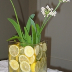 fruit-flowers-centerpiece-citrus15.jpg