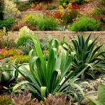 garden-inspiration-by-gabriel-succulent10.jpg