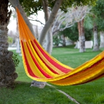 hammock-in-garden2-2.jpg