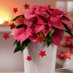 home-flowers-in-new-year-decorating1-10.jpg