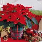 home-flowers-in-new-year-decorating1-4.jpg