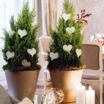 home-flowers-in-new-year-decorating4-8.jpg