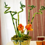 home-plants-creative-ideas1-4.jpg