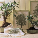 home-plants-creative-ideas5-13.jpg