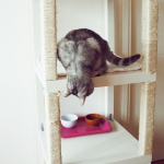 ikea-furniture-hacks-for-cats1-2