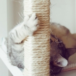 ikea-furniture-hacks-for-cats1-3