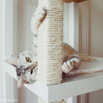ikea-furniture-hacks-for-cats1-6