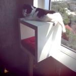 ikea-furniture-hacks-for-cats2-2