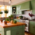 kitchen-green-n-lime1-2.jpg