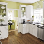 kitchen-green-n-lime8-7.jpg