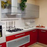 kitchen-red4-8.jpg