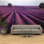 lavender-home-decorating-ideas6-1.jpg