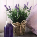 lavender-home-decorating-ideas2-10.jpg