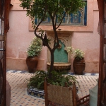 morocco-courtyards-and-patio3-2.jpg