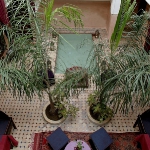 morocco-courtyards-and-patio8-2.jpg