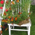 planting-flowers-in-chairs2-2.jpg