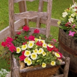 planting-flowers-in-chairs2-3.jpg