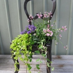 planting-flowers-in-chairs2-4.jpg
