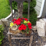 planting-flowers-in-chairs2-5.jpg
