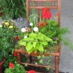 planting-flowers-in-chairs2-7.jpg