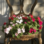 planting-flowers-in-chairs2-9.jpg